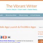 What our Client has to say about us – Review from Vibrant Writer