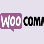 Instagram Integration with WooCommerce